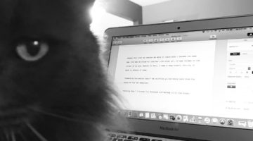 writer's life, cat mom life